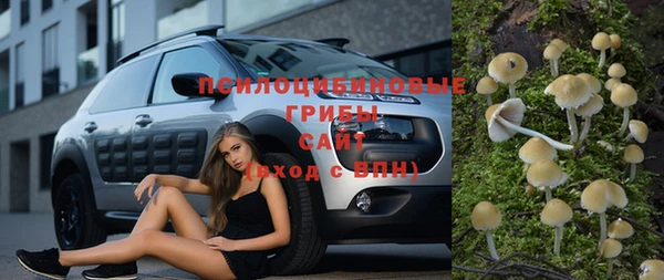 каннабис Абаза