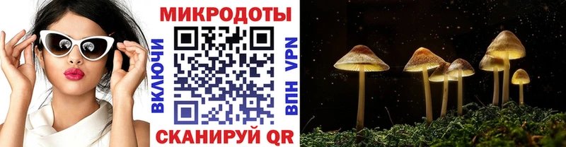 Псилоцибиновые грибы Psilocybe  как найти наркотики  ОМГ ОМГ как войти  Кирсанов 