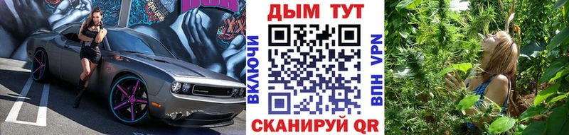 дарнет шоп  ОМГ ОМГ ONION  Бошки Шишки планчик  Кирсанов 
